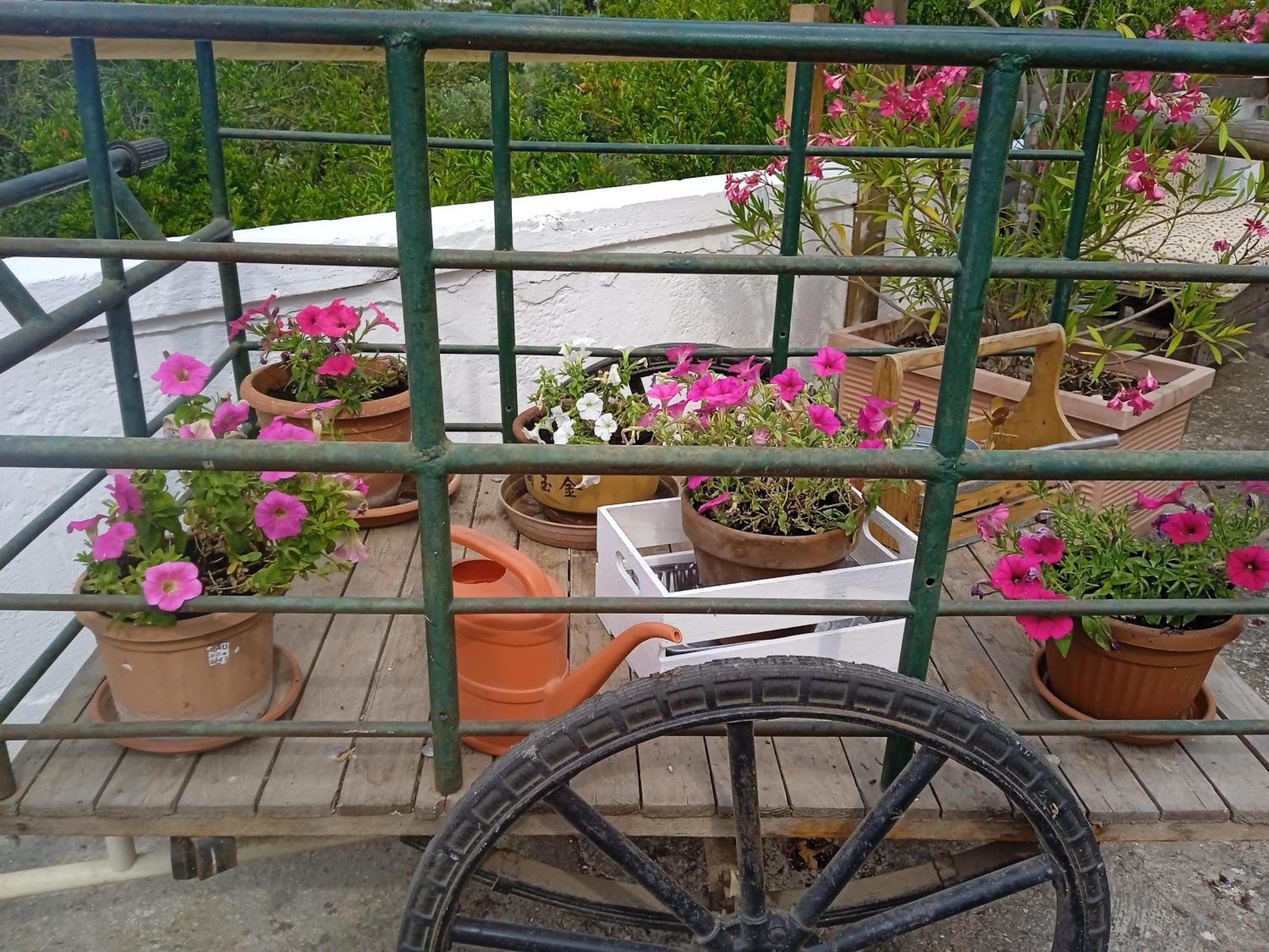 Villa Gasphouse Castellana Grotte Exterior foto